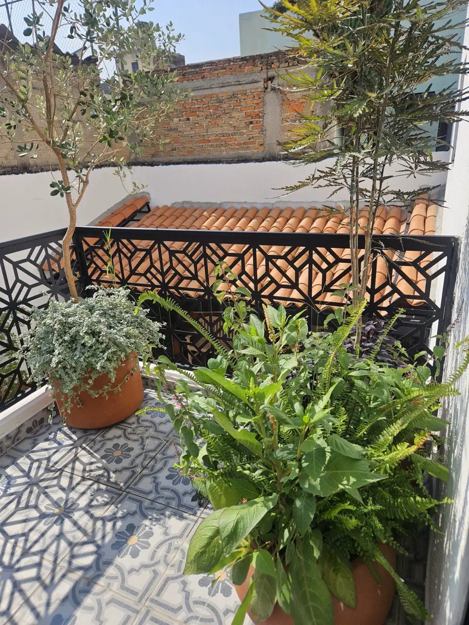Terraza de Casa Mestiza con piso de patrones geométricos, herrería y macetas